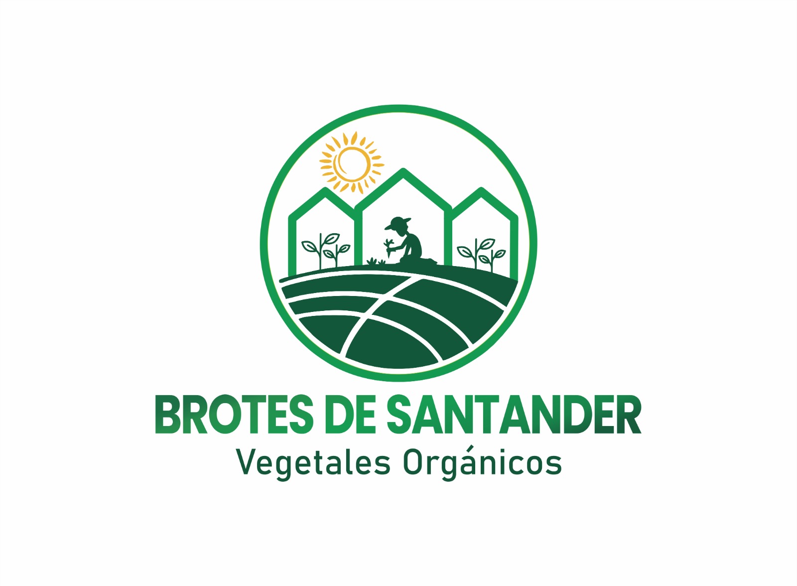 Brotes de Santander